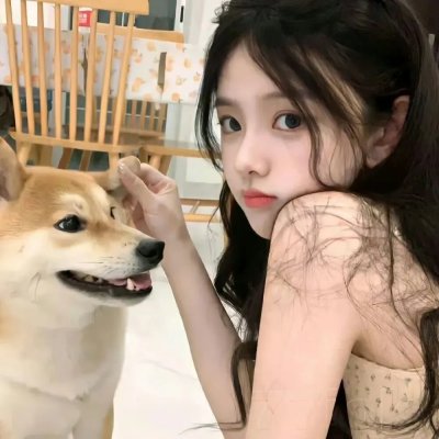 游击飞行中队